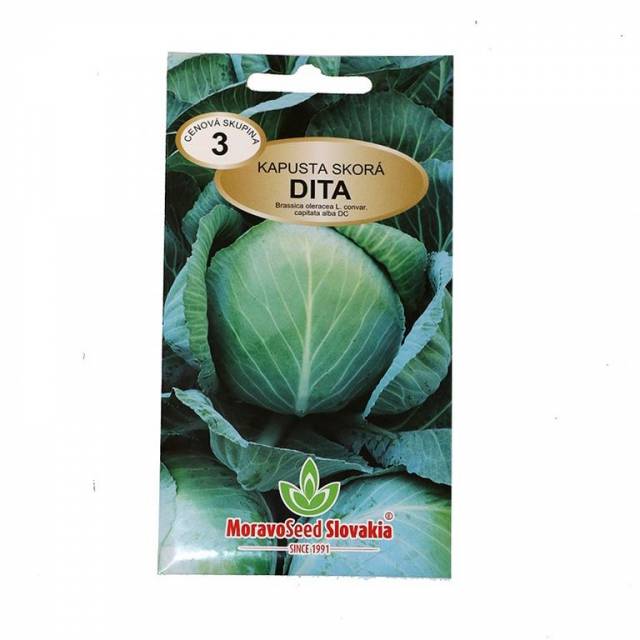 Kapusta skorá - DITA
