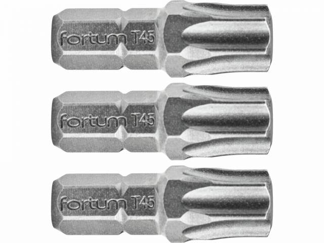 E-shop FORTUM Bity TORX TX45x25mm, 3ks, S2