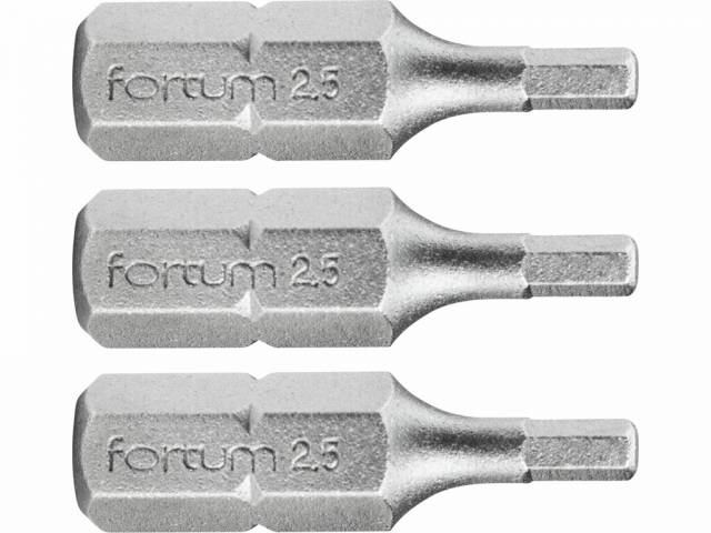 E-shop FORTUM Bity IMBUS H2.5x25mm, 3ks, S2
