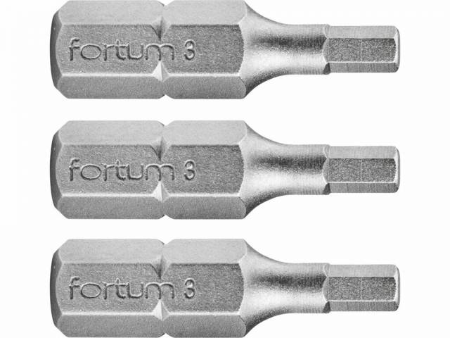 E-shop FORTUM Bity IMBUS H3.0x25mm, 3ks, S2