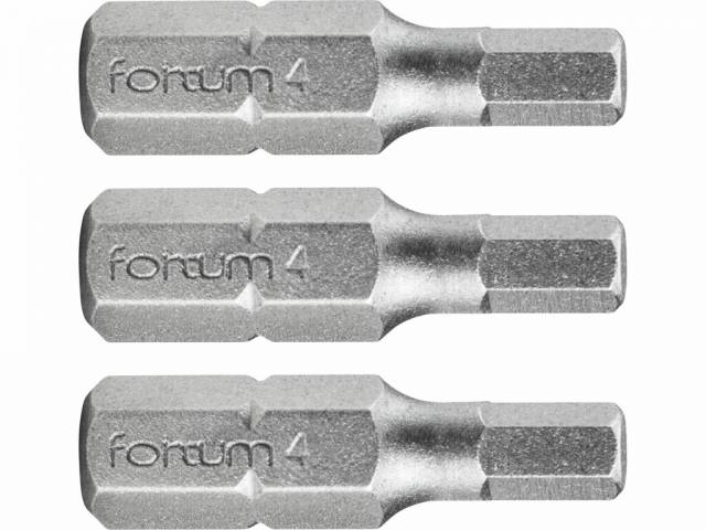 E-shop FORTUM Bity IMBUS H4.0x25mm, 3ks, S2