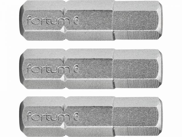 FORTUM Bity IMBUS H5.0x25mm, 3ks, S2