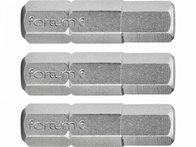 E-shop FORTUM Bity IMBUS H5.0x25mm, 3ks, S2