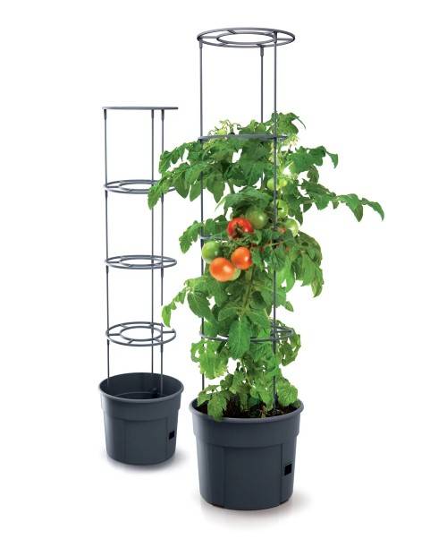 E-shop Kinekus Kvetináč s oporou na paradajky ø 39,2 cm, výška 153 cm, plast, antracit