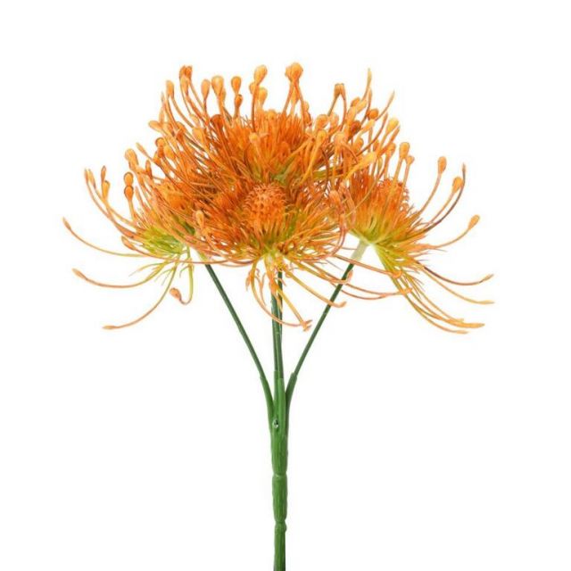 Kinekus Ozdoba zapichovacia bodliak oranžová 24cm