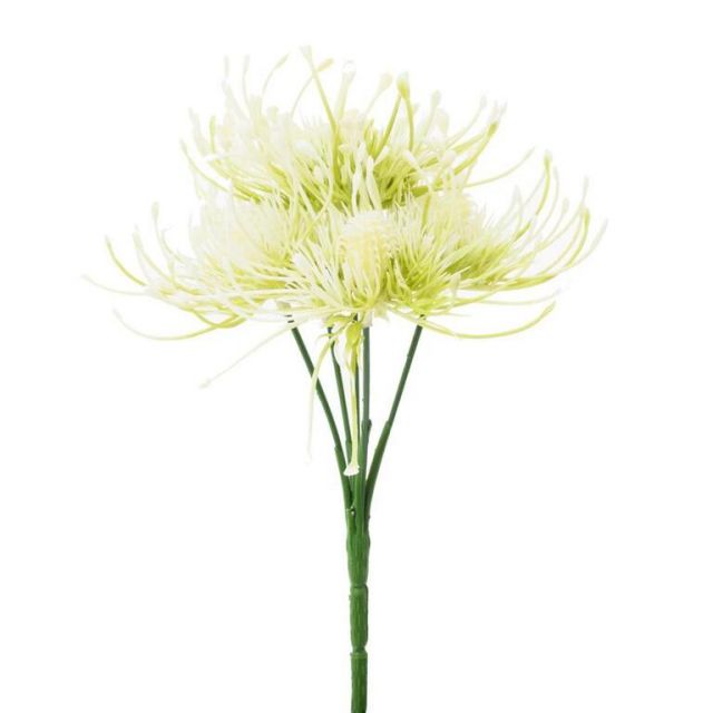 Kinekus Ozdoba zapichovacia bodliak krém 24cm