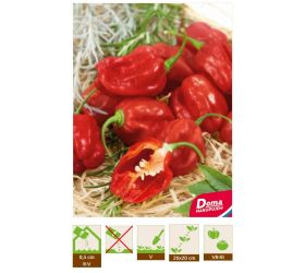 Chilli Paprika – Habanero Red