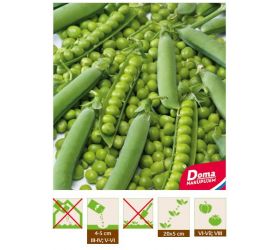 BIO Hrach siatý pravý – Progress 9