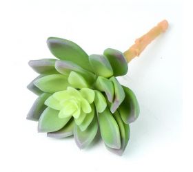 Ozdoba zapichovacia skalnička echeveria 14cm, svetlozelená