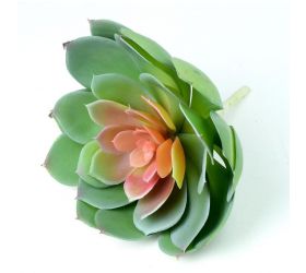 Ozdoba zapichovacia, skalnička, echeveria, 19x20cm