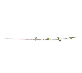 Ozdoba zapichovacia bahniatka, stonka, 75 cm, biele
