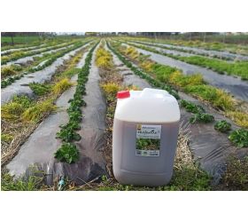 Hnojivo biostimulant Ekofertile plant 10l, tekuté