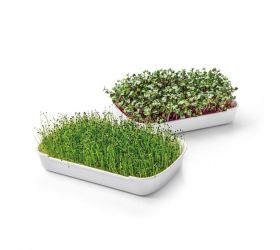 Súprava na pestovanie microgreens, SENSE
