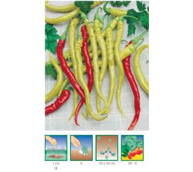 Paprika poľná, mierne štipľavá, typ kozí roh – BEROS