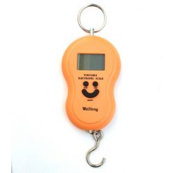 Váha závesná mincier, nosnosť 50kg, DIGI