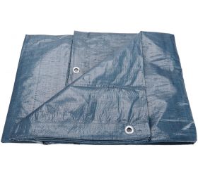 EXTOL CRAFT Plachta zakrývacia polyetylén, 100g/m2, 4x5m