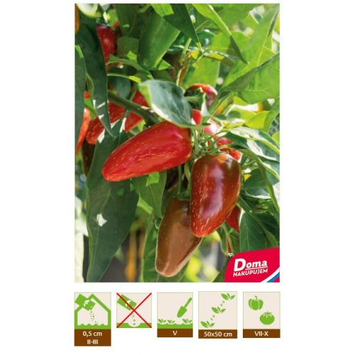 Chilli Paprika – Jalapeno M (red)