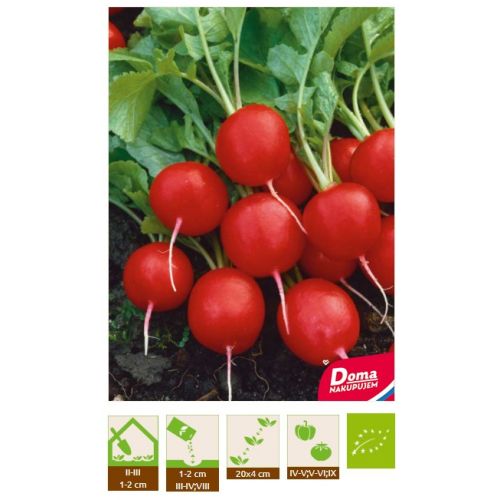 BIO Reďkovka – Saxa 2