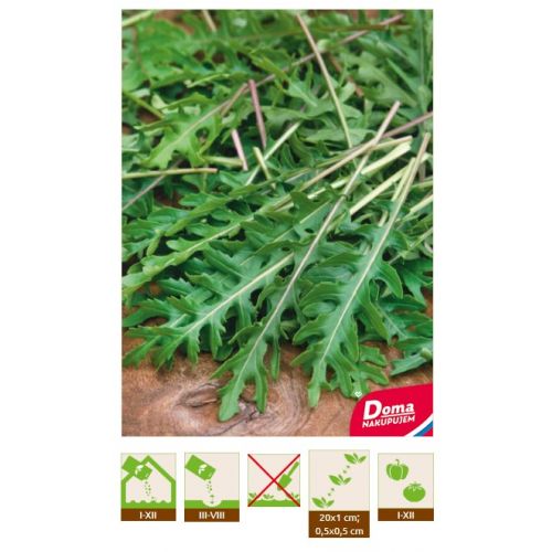BIO Rukola – Wild Rocket