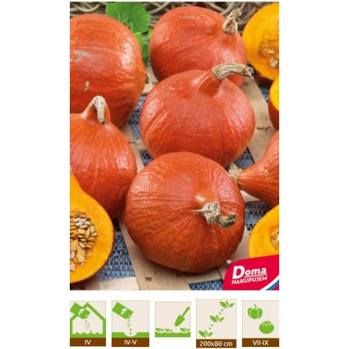 Tekvica Hokkaido Orange BIO