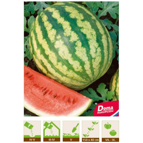 Dyňa červená – Crimson Sweet