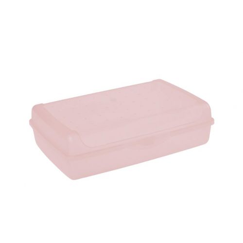 Box desiatový 30x20x8,5 cm 3,7l severská ružová