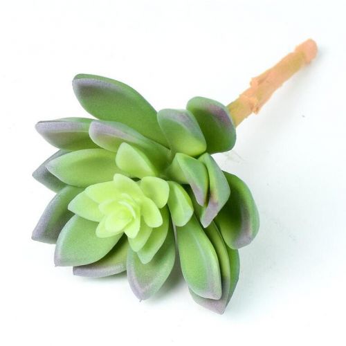 Ozdoba zapichovacia skalnička echeveria 14cm, svetlozelená