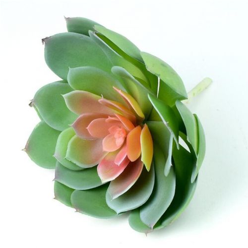 Ozdoba zapichovacia, skalnička, echeveria, 19x20cm