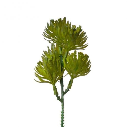 Ozdoba zapichovacia sukulent 18cm