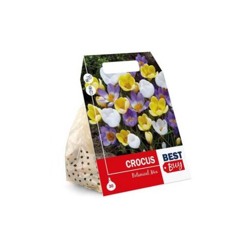Crocus, šafrán, mix farieb, cibuľky, balenie 15ks