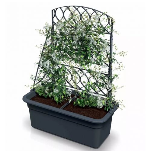 Kvetináč / truhlík plastový s pergolou 580x288 mm, antracit, výška 225 / 780 mm 