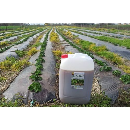Hnojivo biostimulant Ekofertile plant 10l, tekuté
