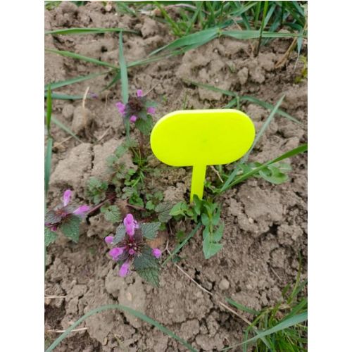 Tabuľka zapichovacia do záhrady 25x7x0,3cm plasová,  balenie 10ks