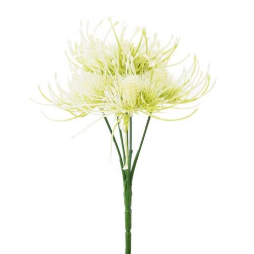 Ozdoba zapichovacia bodliak krém 24cm