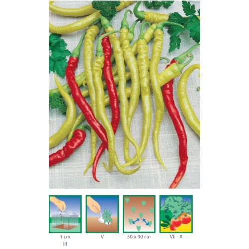 Paprika poľná, mierne štipľavá, typ kozí roh – BEROS