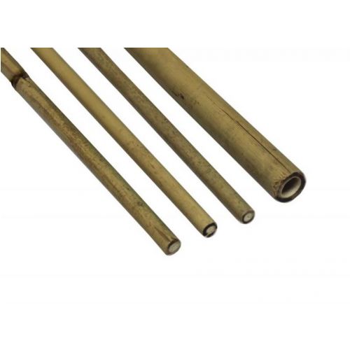 Tyč oporná bambusová k rastlinám, dĺžka 150 cm, priemer cca 10 mm