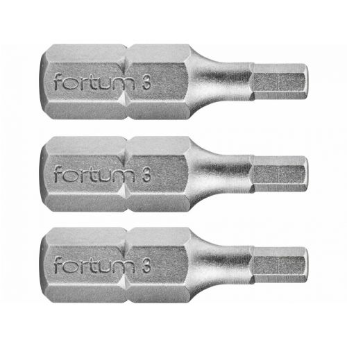 Bity IMBUS H3.0x25mm, 3ks, S2
