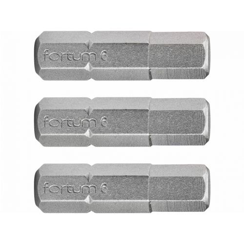 Bity IMBUS H6.0x25mm, 3ks, S2