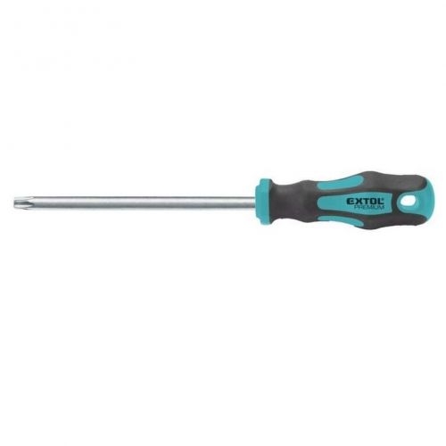 Skrutkovač TORX, T25x100mm, CrV