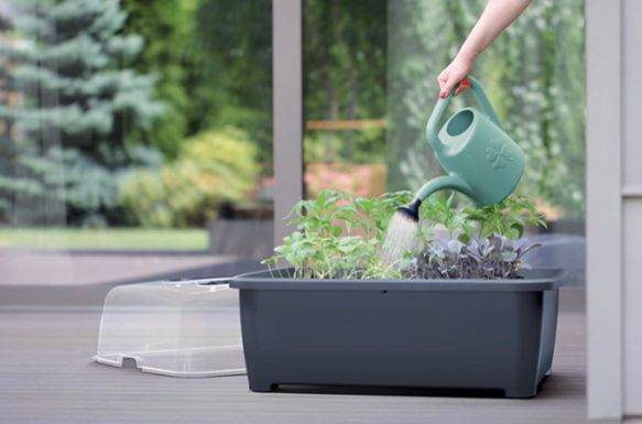 Kinekus Krhla plastová 1,8l zelená KONI