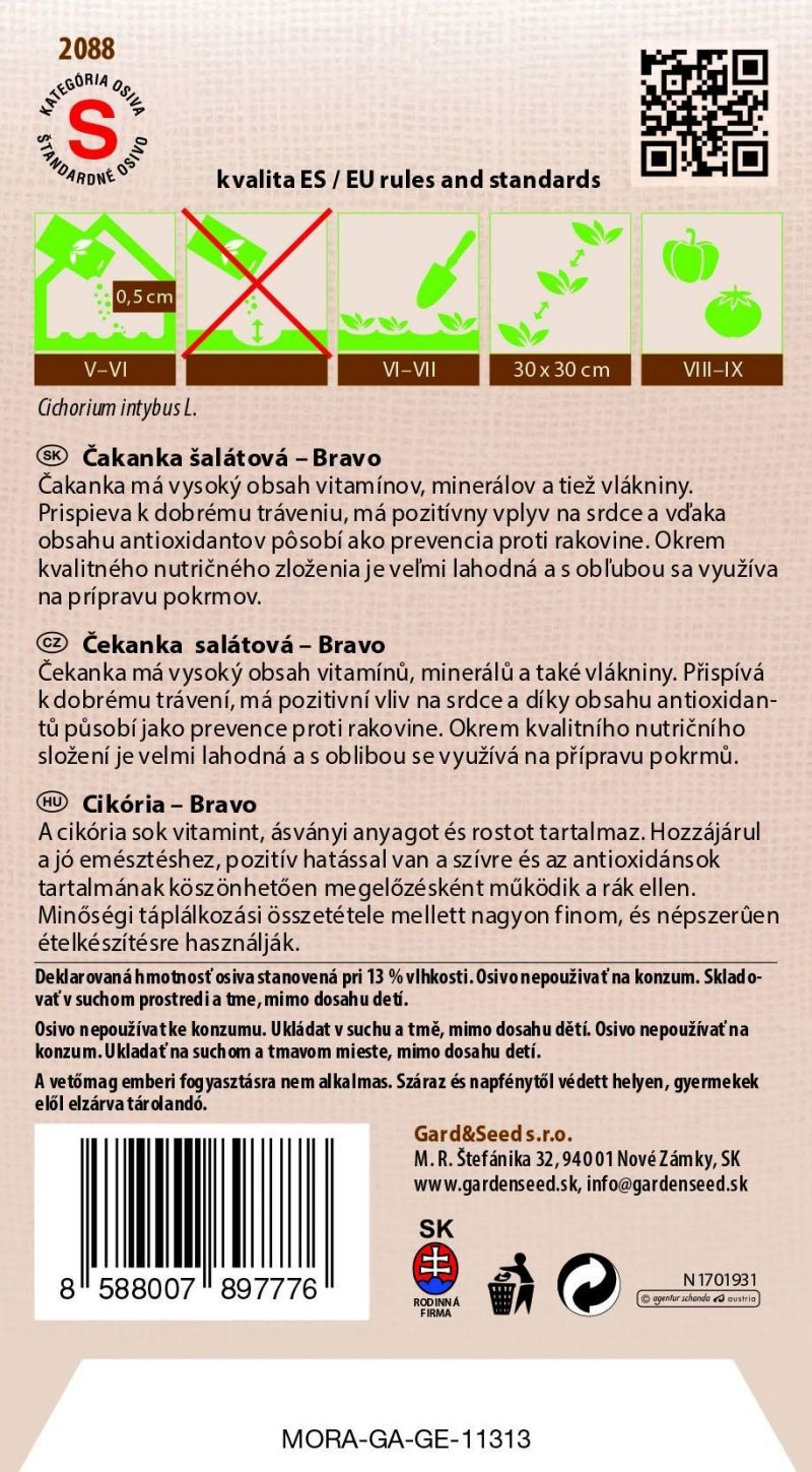 Kinekus Čakanka šalátová – Bravo