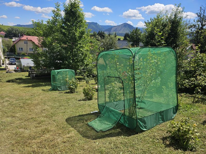 Kinekus Sieť proti vtákom s konštrukciou 125x125x150cm GARDENKUS