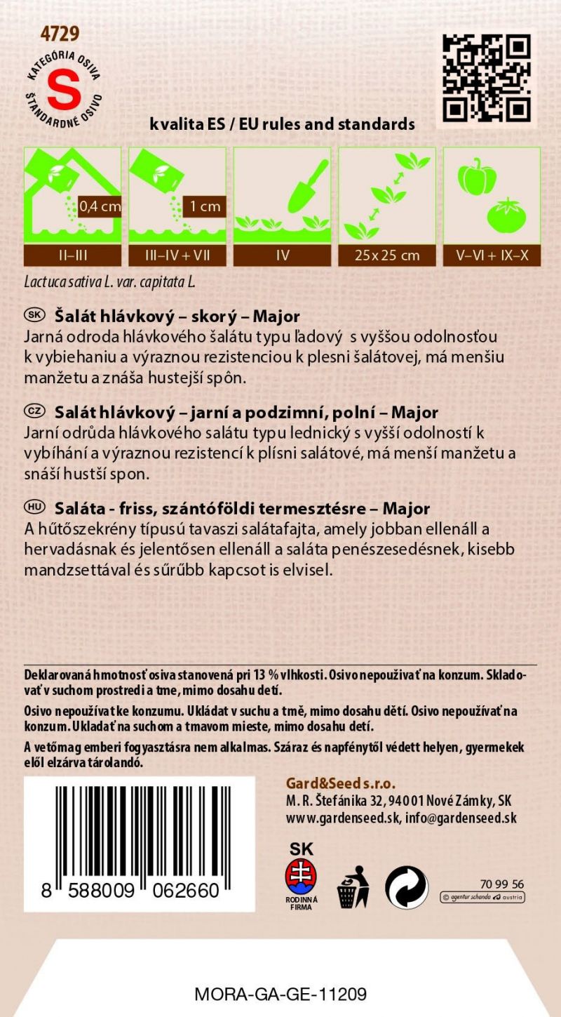 Kinekus Šalát ľadový MAJOR #4SK