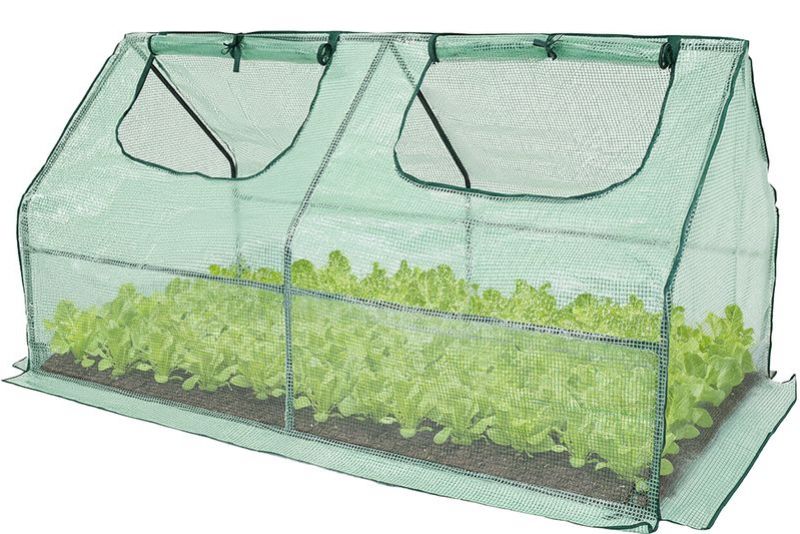 Parenisko Greenhouse, fólia, 182x90x93