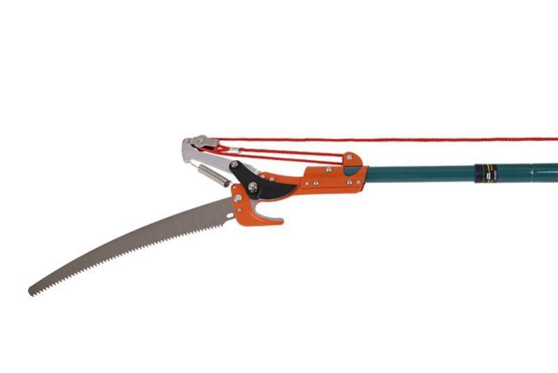 FESTA Nožnice na strom s pílkou 30cm a teleskopickou násadou 240cm