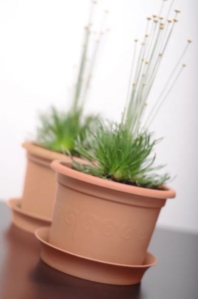 Kinekus Kvetináč plastový, priemer 40cm, PLASTICA, terakota