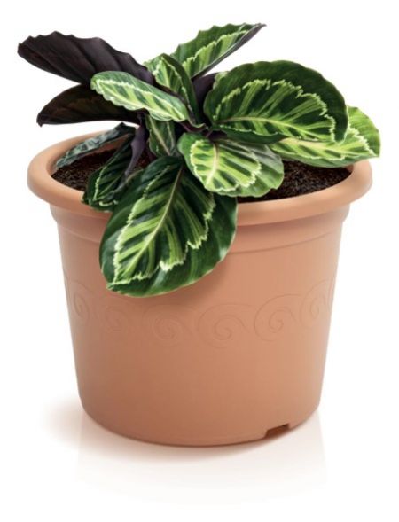 Kinekus Kvetináč plastový, priemer 40cm, PLASTICA, terakota