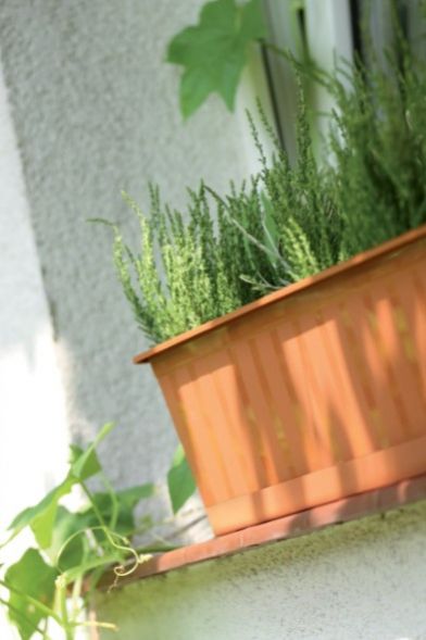 Kinekus Truhlík plastový, dĺžka strany 100cm, AGRO, hnedý
