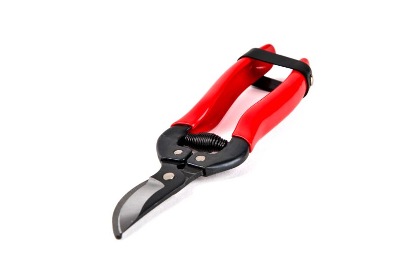 Nožnice záhradné ručné pružinové oblé 18cm foto2