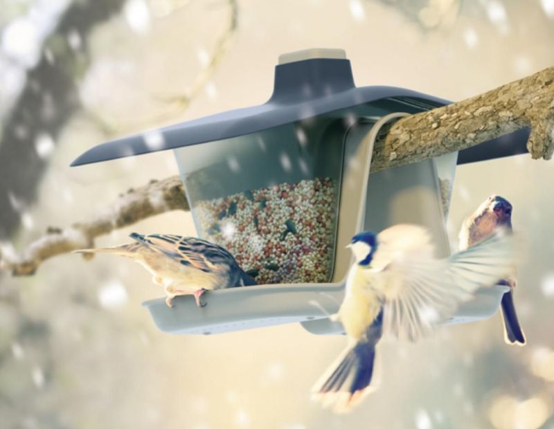 Birdyfeed Double, Antracit
